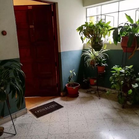 ليما Hospedaje En Jesus Maria المظهر الخارجي الصورة